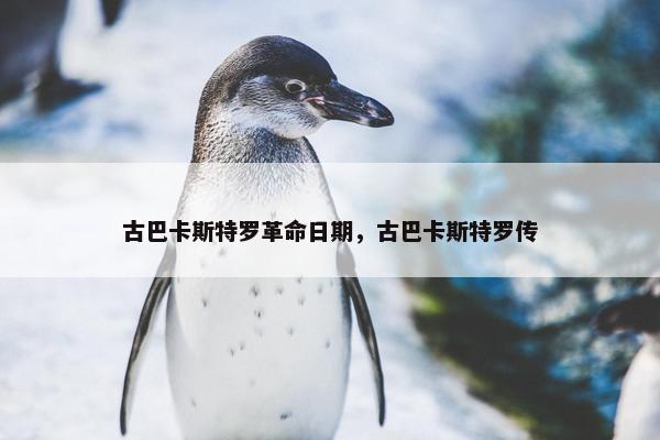 古巴卡斯特罗革命日期，古巴卡斯特罗传