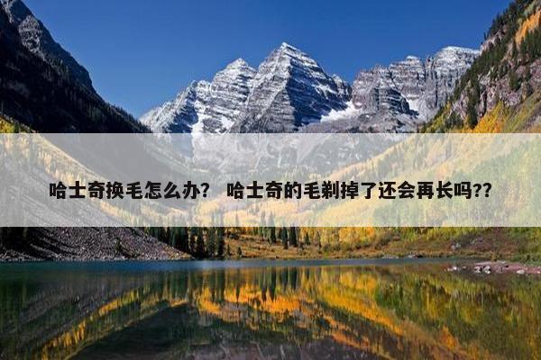 哈士奇换毛怎么办？ 哈士奇的毛剃掉了还会再长吗?？