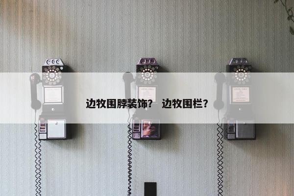 边牧围脖装饰？ 边牧围栏？