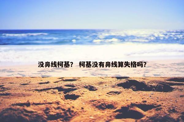 没鼻线柯基？ 柯基没有鼻线算失格吗？