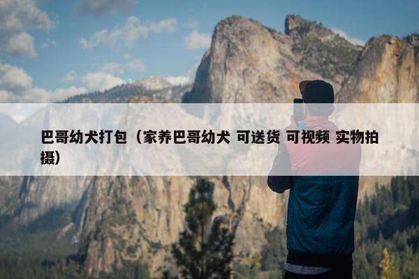 巴哥幼犬打包（家养巴哥幼犬 可送货 可视频 实物拍摄）