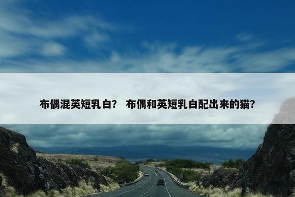 布偶混英短乳白？ 布偶和英短乳白配出来的猫？