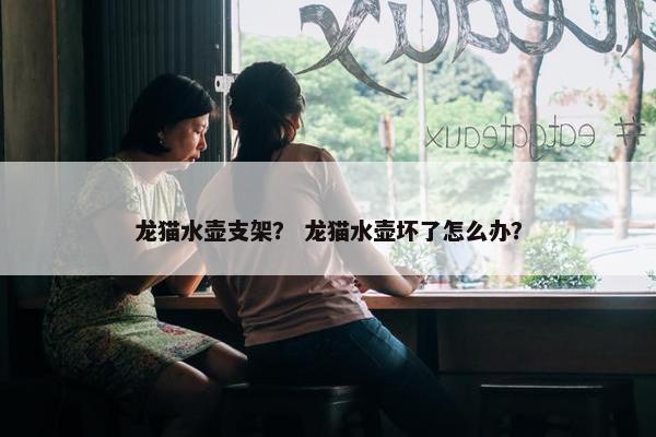 龙猫水壶支架？ 龙猫水壶坏了怎么办？