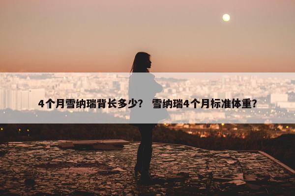 4个月雪纳瑞背长多少？ 雪纳瑞4个月标准体重？