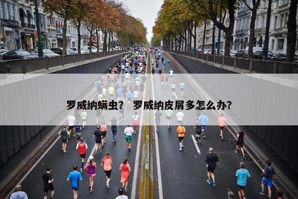 罗威纳螨虫？ 罗威纳皮屑多怎么办？