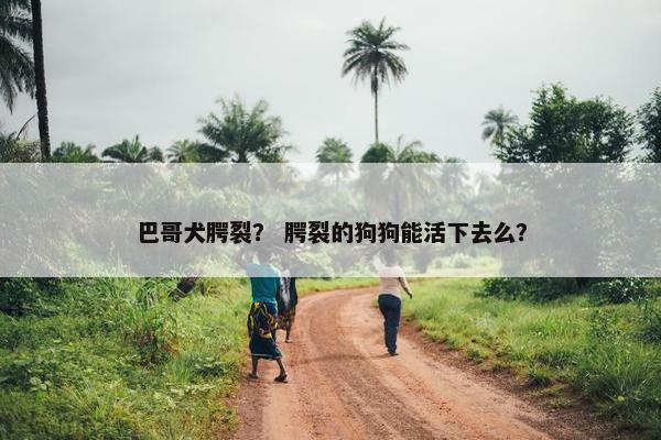 巴哥犬腭裂？ 腭裂的狗狗能活下去么？
