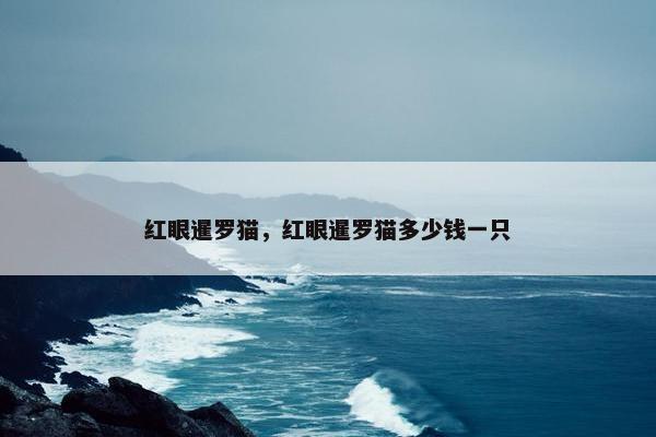 红眼暹罗猫，红眼暹罗猫多少钱一只