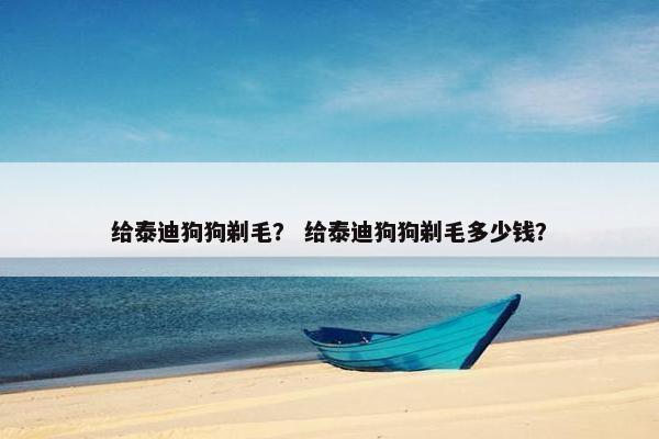 给泰迪狗狗剃毛？ 给泰迪狗狗剃毛多少钱？