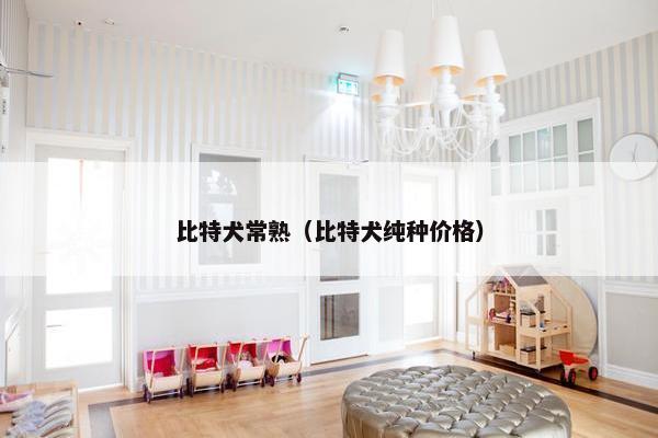 比特犬常熟（比特犬纯种价格）