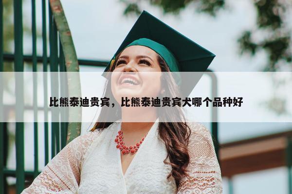 比熊泰迪贵宾，比熊泰迪贵宾犬哪个品种好