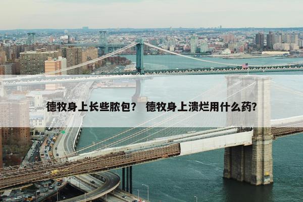 德牧身上长些脓包？ 德牧身上溃烂用什么药？