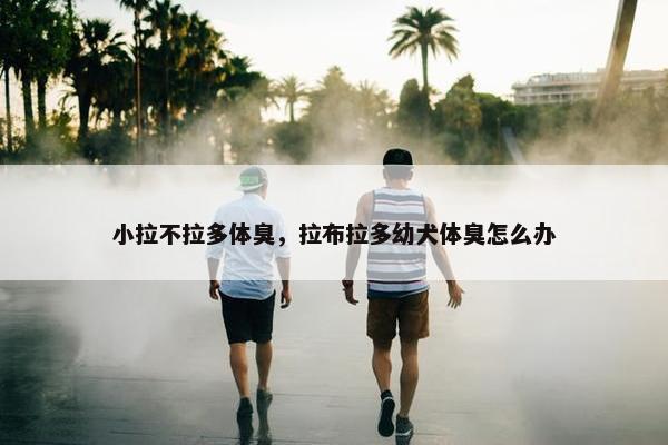 小拉不拉多体臭，拉布拉多幼犬体臭怎么办