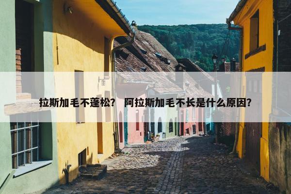 拉斯加毛不蓬松？ 阿拉斯加毛不长是什么原因？