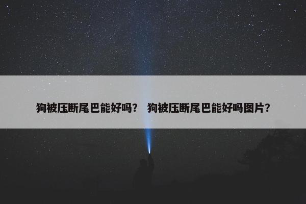 狗被压断尾巴能好吗？ 狗被压断尾巴能好吗图片？