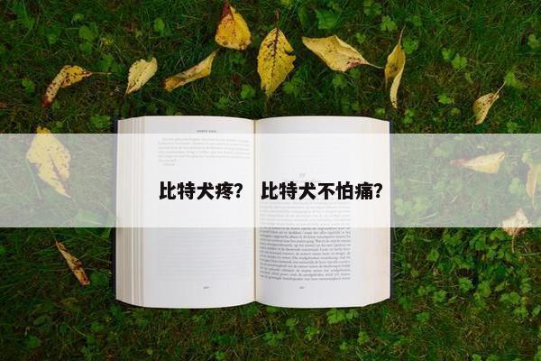 比特犬疼？ 比特犬不怕痛？