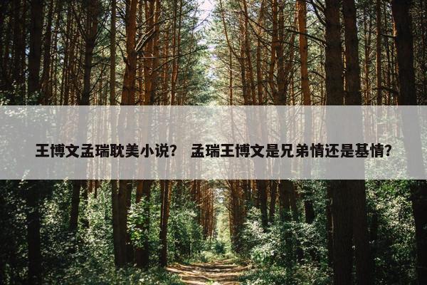 王博文孟瑞耽美小说？ 孟瑞王博文是兄弟情还是基情？