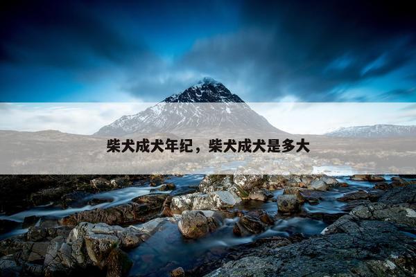 柴犬成犬年纪，柴犬成犬是多大