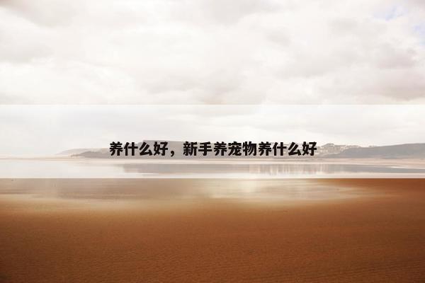 养什么好，新手养宠物养什么好