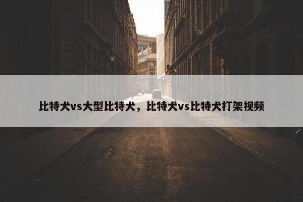 比特犬vs大型比特犬，比特犬vs比特犬打架视频