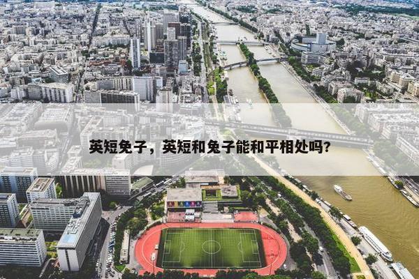 英短免子，英短和兔子能和平相处吗?