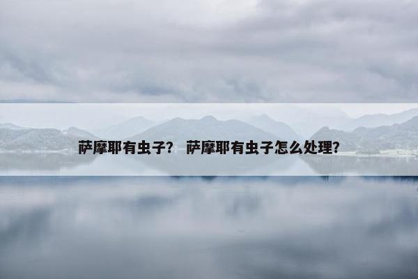 萨摩耶有虫子？ 萨摩耶有虫子怎么处理？