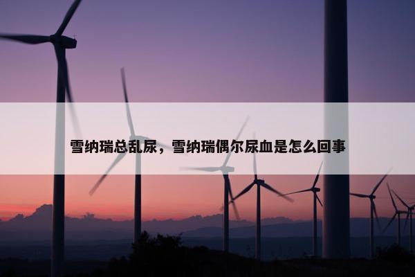 雪纳瑞总乱尿，雪纳瑞偶尔尿血是怎么回事