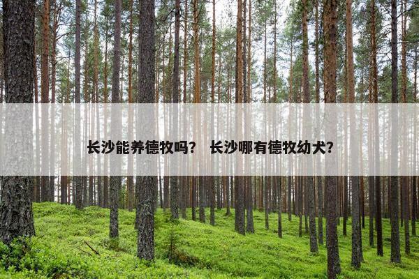 长沙能养德牧吗？ 长沙哪有德牧幼犬？