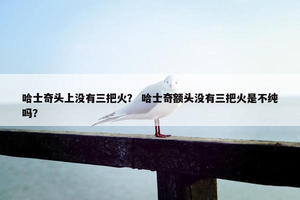 哈士奇头上没有三把火？ 哈士奇额头没有三把火是不纯吗？