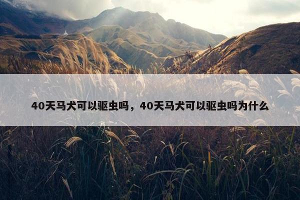 40天马犬可以驱虫吗，40天马犬可以驱虫吗为什么