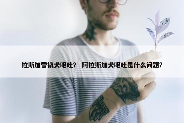 拉斯加雪橇犬呕吐？ 阿拉斯加犬呕吐是什么问题？