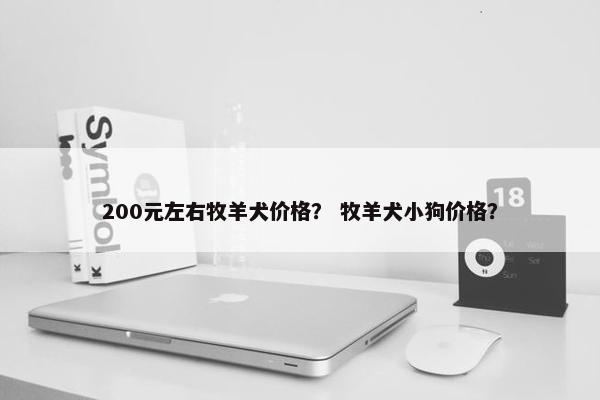 200元左右牧羊犬价格？ 牧羊犬小狗价格？