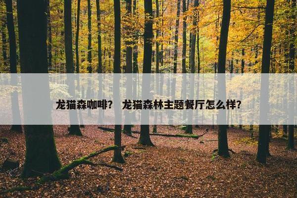 龙猫森咖啡？ 龙猫森林主题餐厅怎么样？