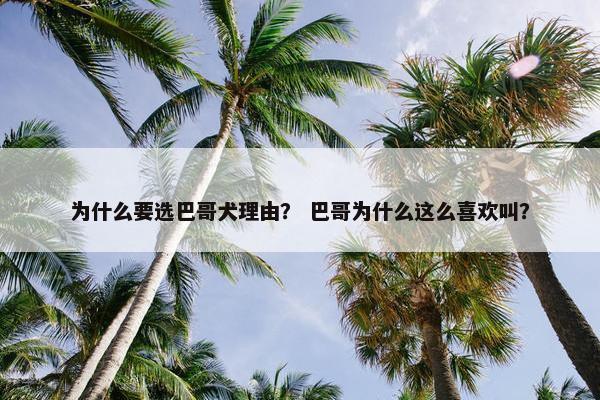 为什么要选巴哥犬理由？ 巴哥为什么这么喜欢叫？