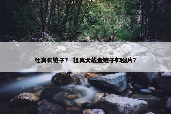 杜宾狗链子？ 杜宾犬戴金链子帅图片？