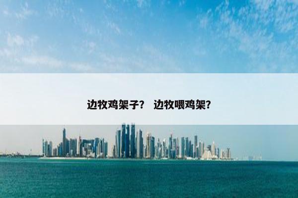 边牧鸡架子？ 边牧喂鸡架？