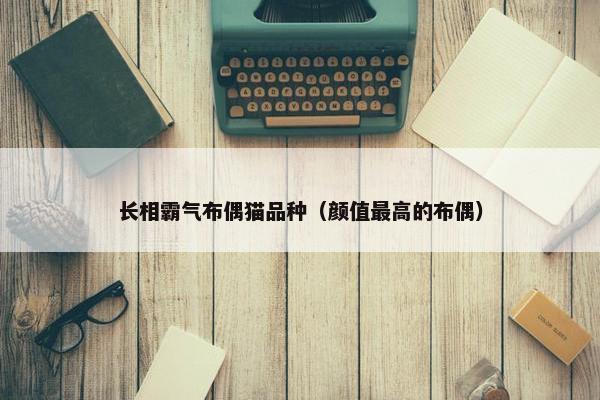 长相霸气布偶猫品种（颜值最高的布偶）