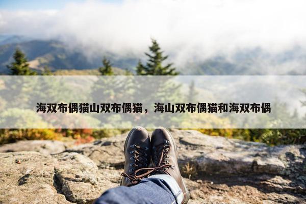 海双布偶猫山双布偶猫，海山双布偶猫和海双布偶