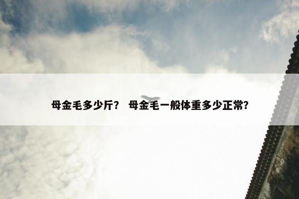 母金毛多少斤？ 母金毛一般体重多少正常？