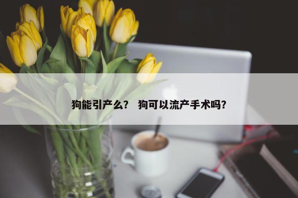 狗能引产么？ 狗可以流产手术吗？