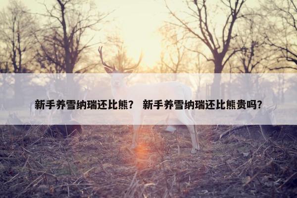 新手养雪纳瑞还比熊？ 新手养雪纳瑞还比熊贵吗？
