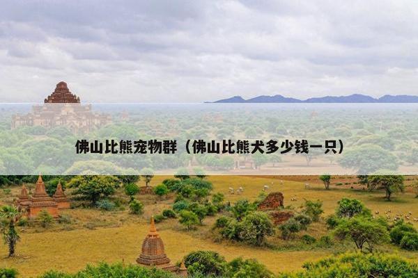 佛山比熊宠物群（佛山比熊犬多少钱一只）