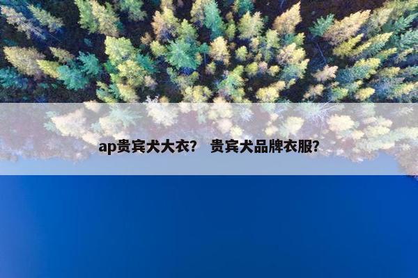 ap贵宾犬大衣？ 贵宾犬品牌衣服？