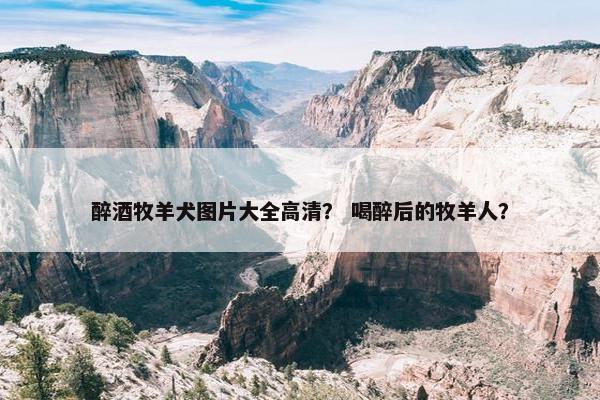 醉酒牧羊犬图片大全高清？ 喝醉后的牧羊人？