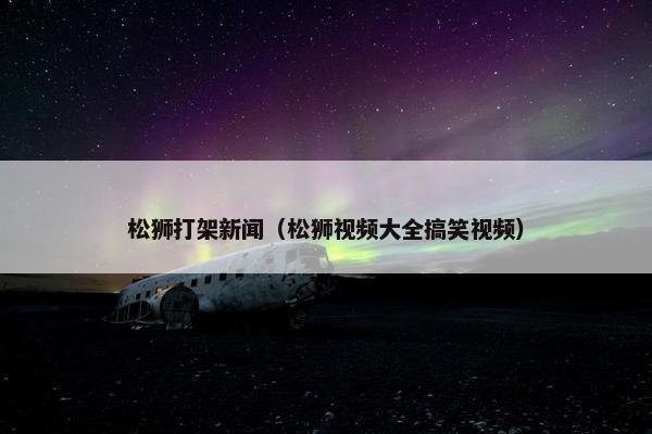 松狮打架新闻（松狮视频大全搞笑视频）