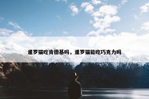 暹罗猫吃肯德基吗，暹罗猫能吃巧克力吗