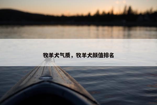 牧羊犬气质，牧羊犬颜值排名