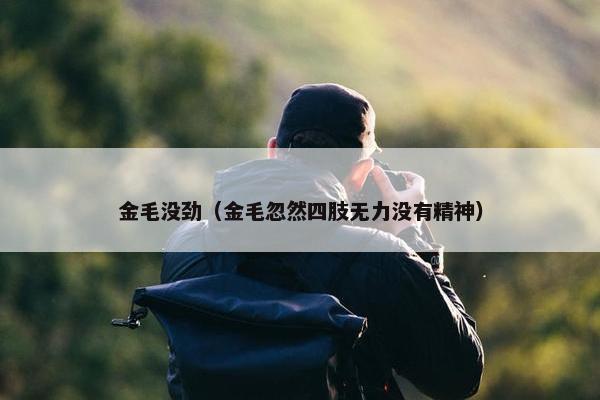 金毛没劲（金毛忽然四肢无力没有精神）