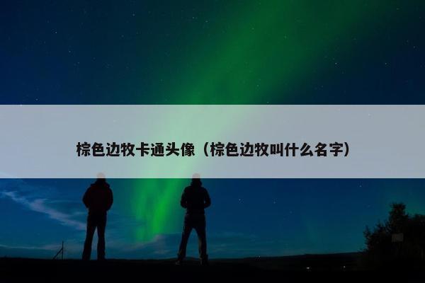 棕色边牧卡通头像（棕色边牧叫什么名字）