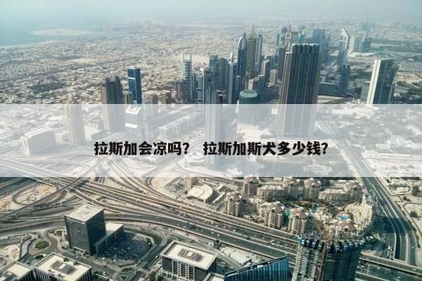 拉斯加会凉吗？ 拉斯加斯犬多少钱？