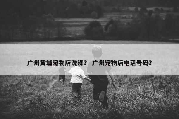 广州黄埔宠物店洗澡？ 广州宠物店电话号码？